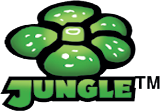 Jungle 1st Edition