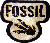 Fossil 1st Edition